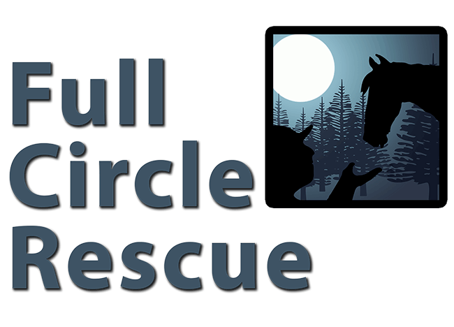 Full Circle Rescue | Equine Rehab