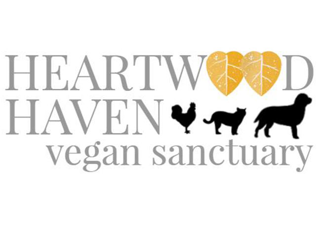 heartwood-haven-animal-sanctuary